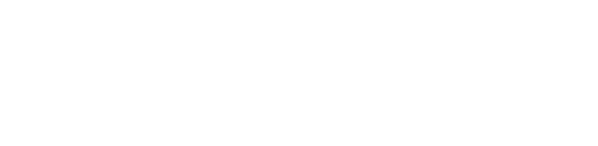 Noedal logo